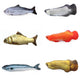 Realistic Fish Toy for Cats (with Catnip)