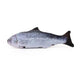 Realistic Fish Toy for Cats (with Catnip)