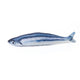 Realistic Fish Toy for Cats (with Catnip)