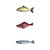 Realistic Fish Toy for Cats (with Catnip)