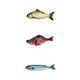 Realistic Fish Toy for Cats (with Catnip)